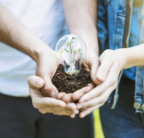 hands-keeping-plant-lamp-ground hands-keeping-plant-lamp-ground